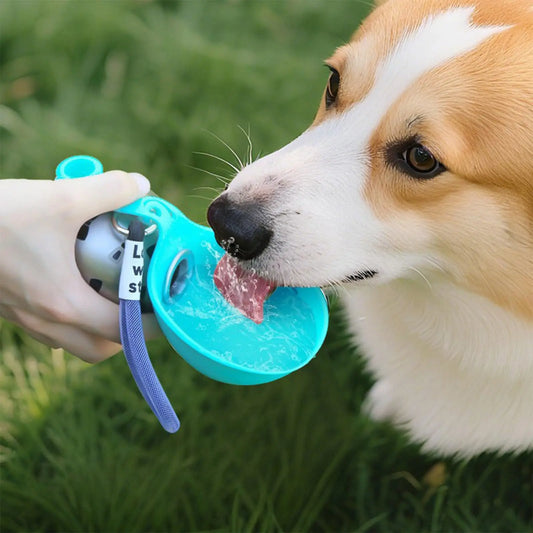 HydroPaws Water Bottle — Drink & Bowl in One