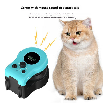 ChaseWhisker – Exercise Made Fun for Lazy Cats