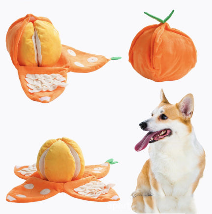 OrangeQuest Hide-and-Seek Toy — Sniff, Search, Smile