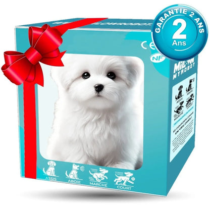 PawBuddy – The Lifelike Robotic Puppy Pal