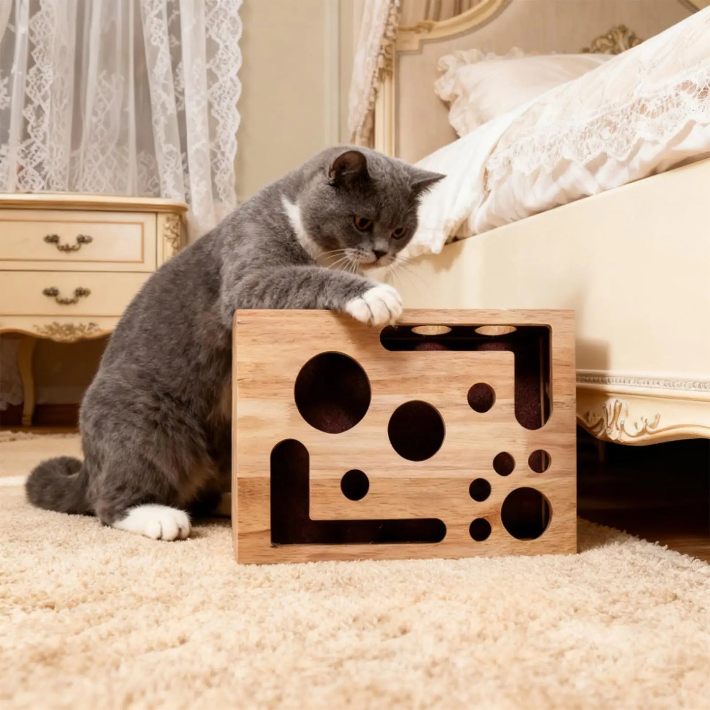 PawPerfect Scratch & Play Box