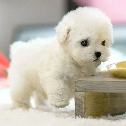 PawBuddy – The Lifelike Robotic Puppy Pal